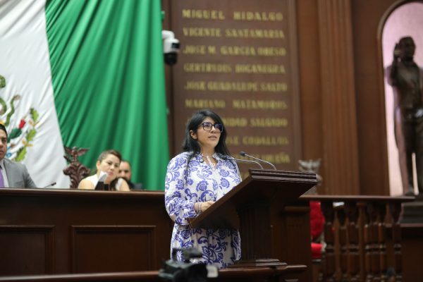 Propone Vanhe Caratachea tipificar secuestro virtual infantil a nivel federal